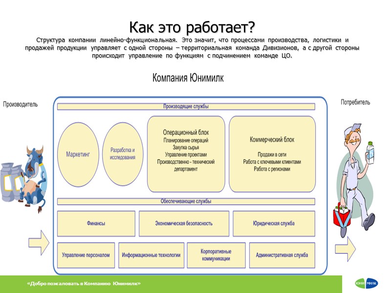 «Добро пожаловать в Компанию Юнимилк» Как это работает? Структура компании линейно-функциональная. Это значит, что